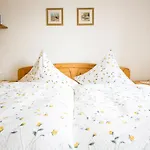 Albrecht Apartmán *