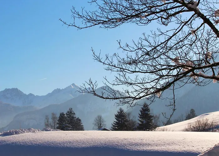 Albrecht * Mittenwald